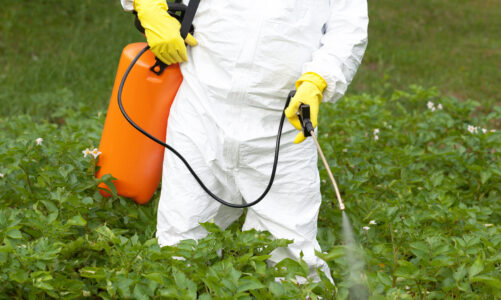 Disinfestazione giardini a Como: servizi professionali